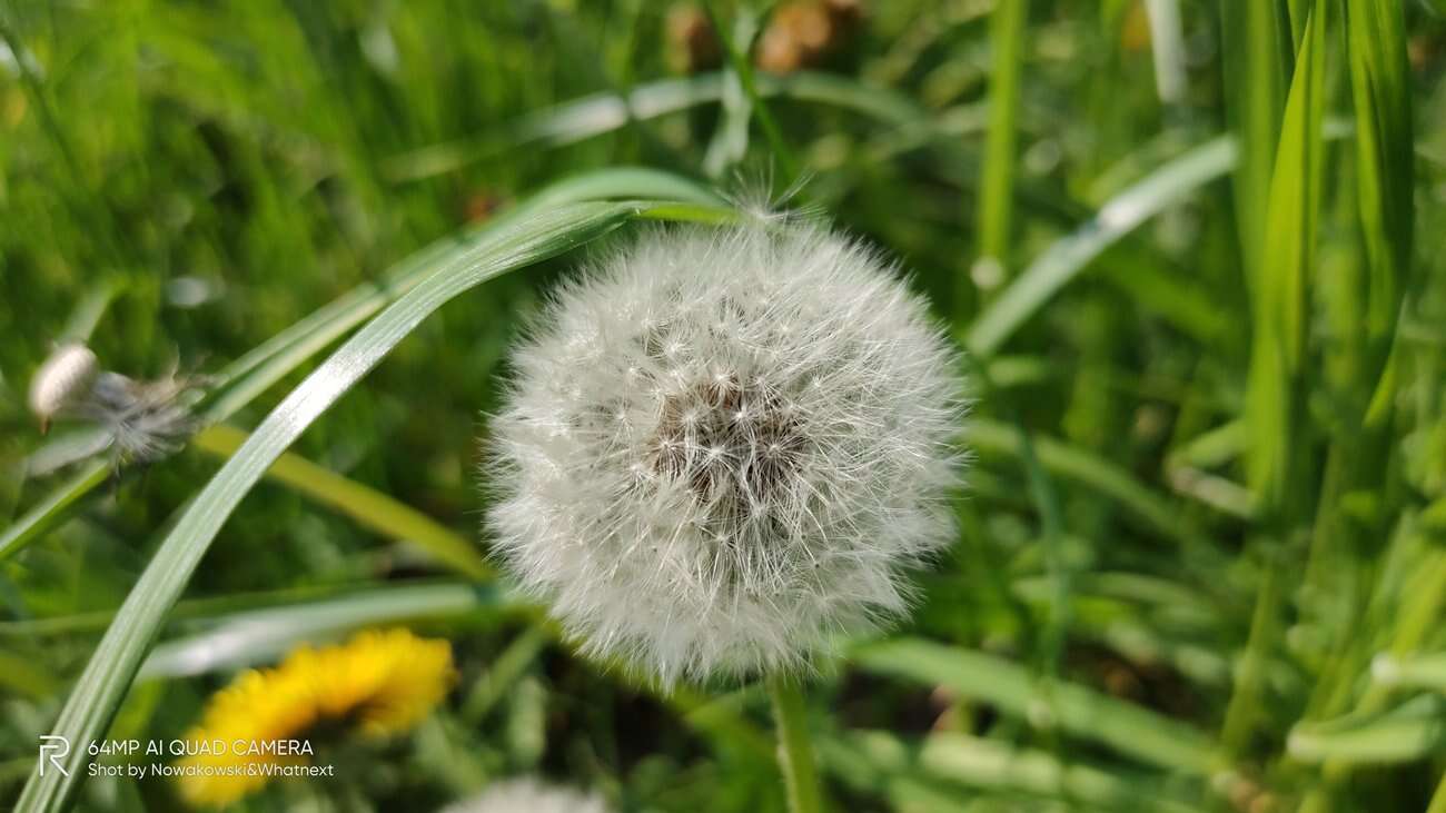 Test Realme 6 Pro – 90 Hz ekran w przystępnej cenie!