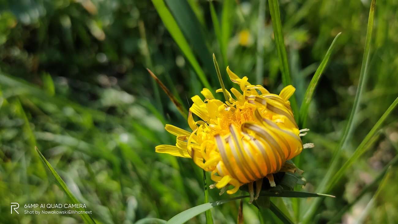 Test Realme 6 Pro – 90 Hz ekran w przystępnej cenie!