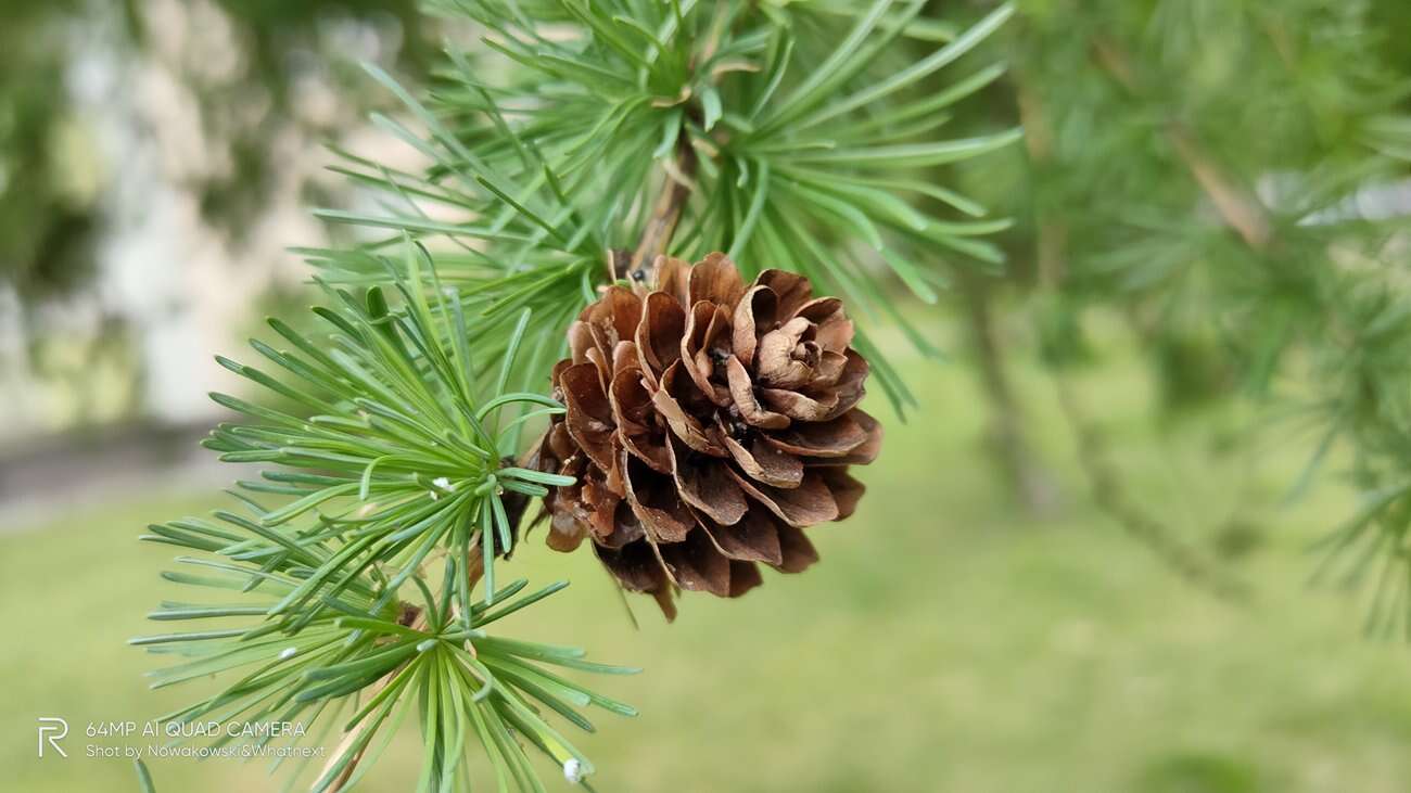 Test Realme 6 Pro – 90 Hz ekran w przystępnej cenie!