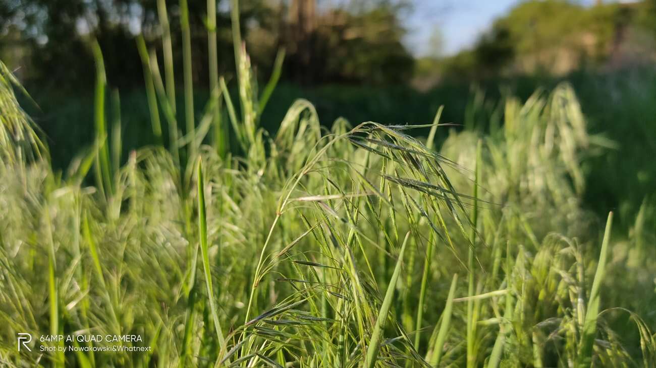 Test Realme 6 Pro – 90 Hz ekran w przystępnej cenie!