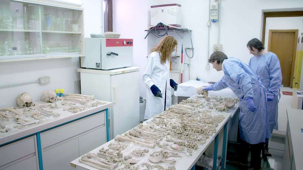 Dan Snow u stóp Wezuwiusza - wywiad z historykiem i zaproszenie do obejrzenia programów o Pompejach