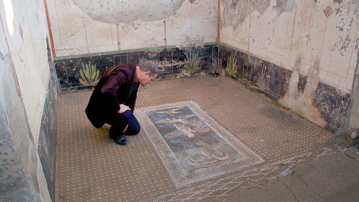 Dan Snow u stóp Wezuwiusza - wywiad z historykiem i zaproszenie do obejrzenia programów o Pompejach