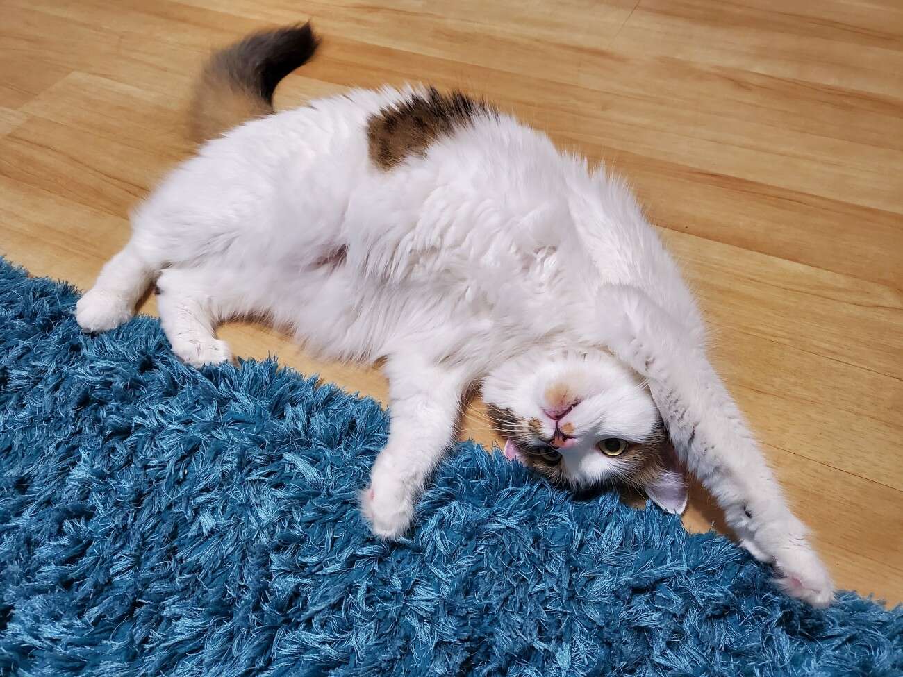 Test Samsunga Galaxy Z Flip. Nowa definicja kompaktowego smartfonu