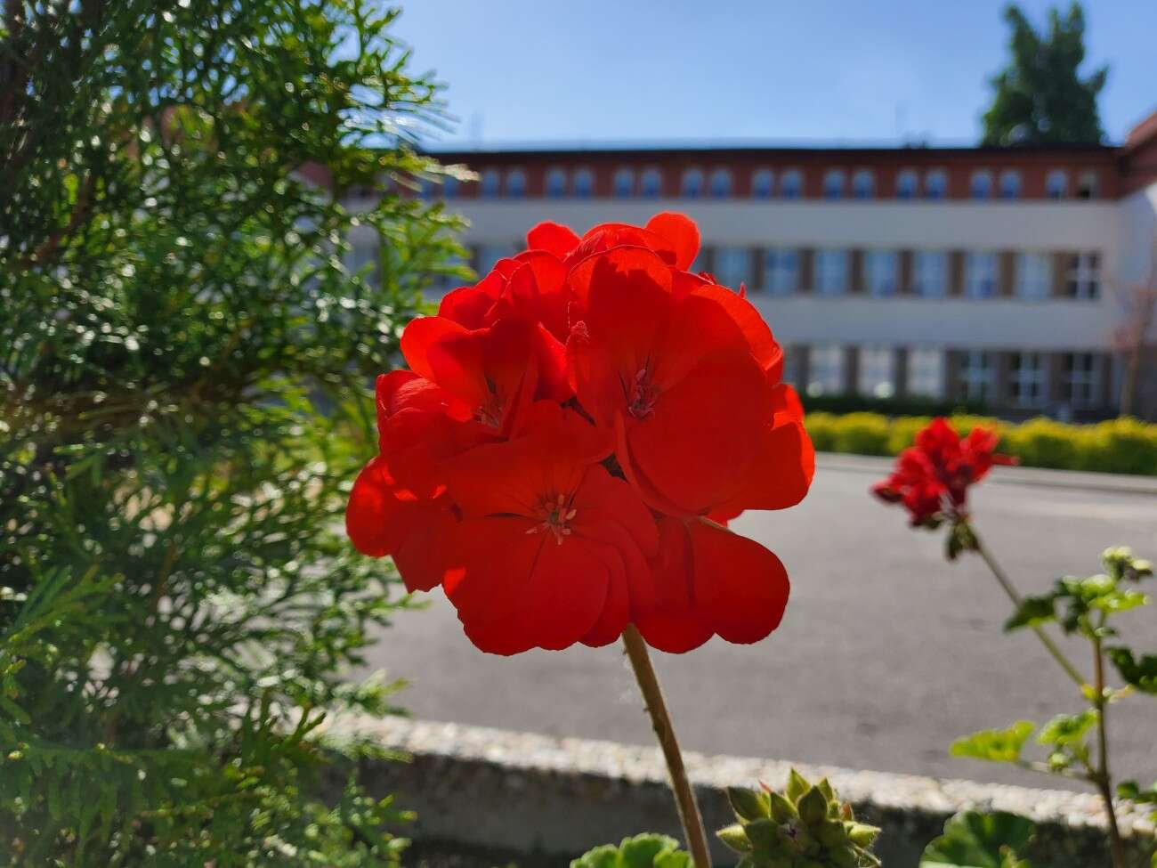 Test Samsunga Galaxy Z Flip. Nowa definicja kompaktowego smartfonu