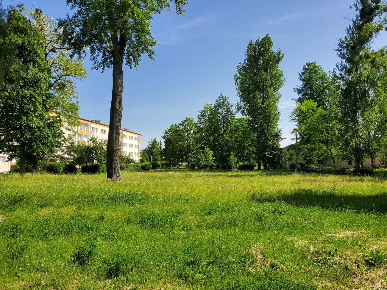 Test Samsunga Galaxy Z Flip. Nowa definicja kompaktowego smartfonu