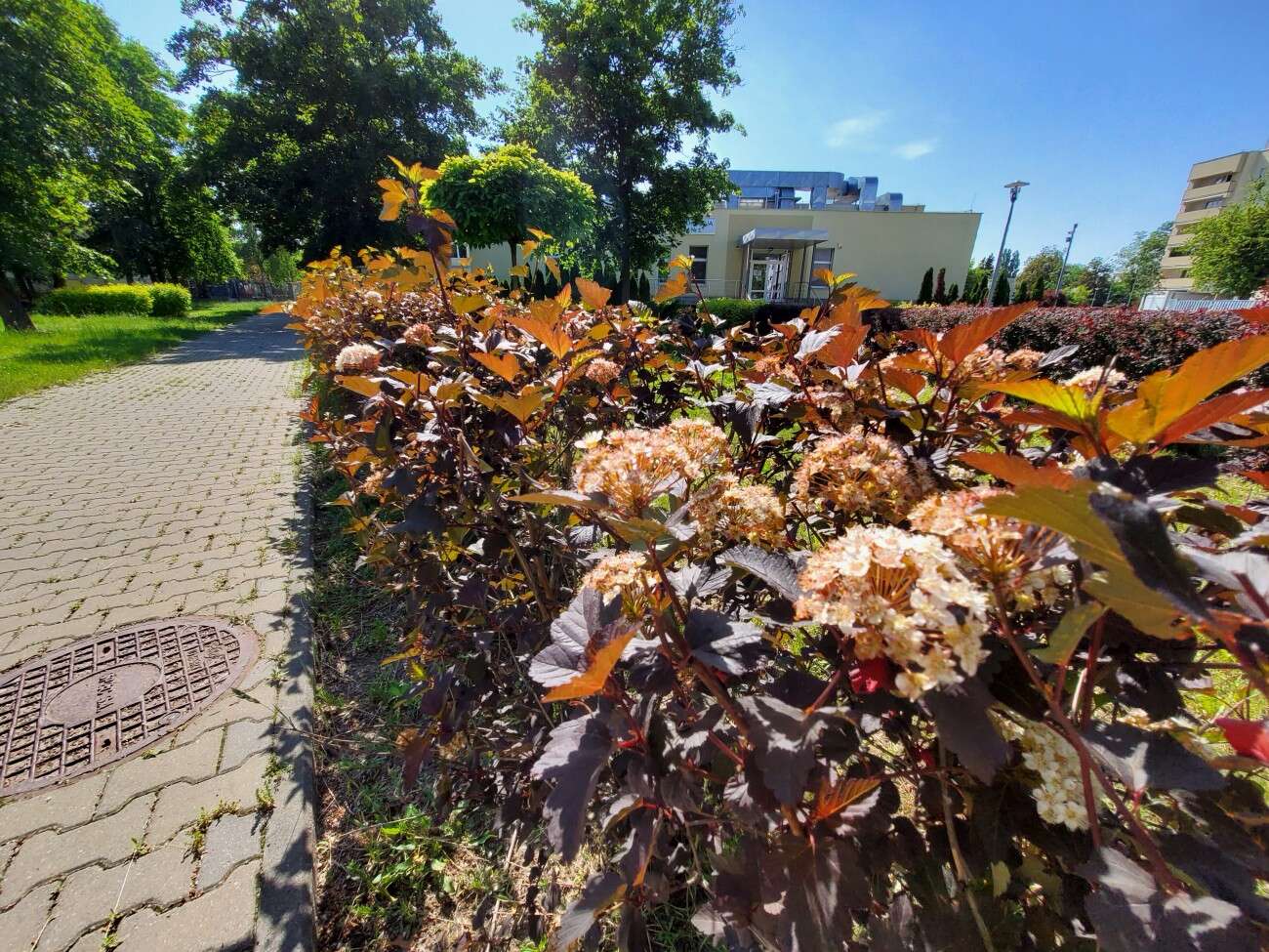 Test Samsunga Galaxy Z Flip. Nowa definicja kompaktowego smartfonu