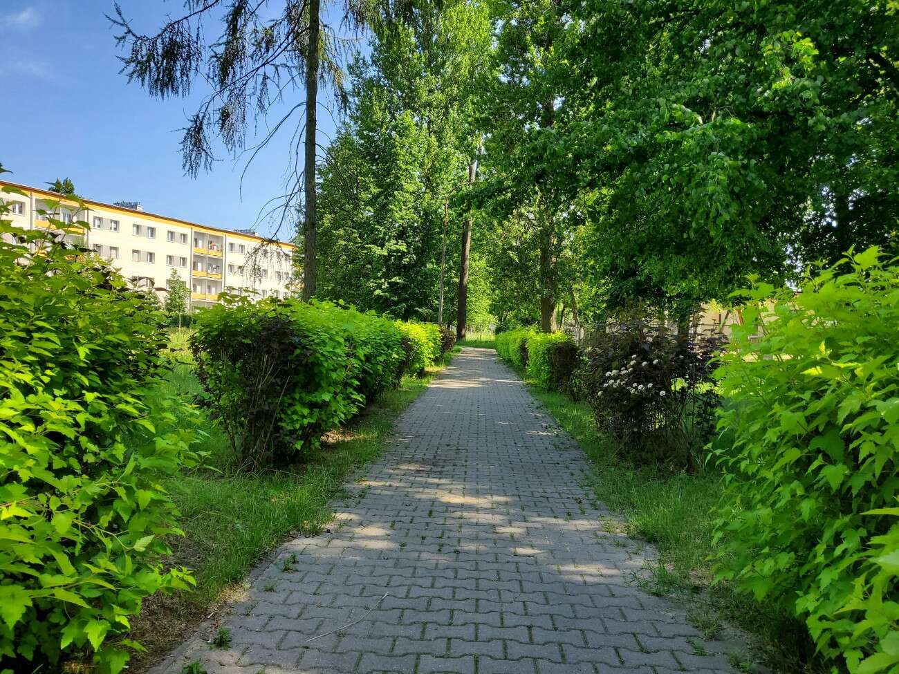 Test Samsunga Galaxy Z Flip. Nowa definicja kompaktowego smartfonu