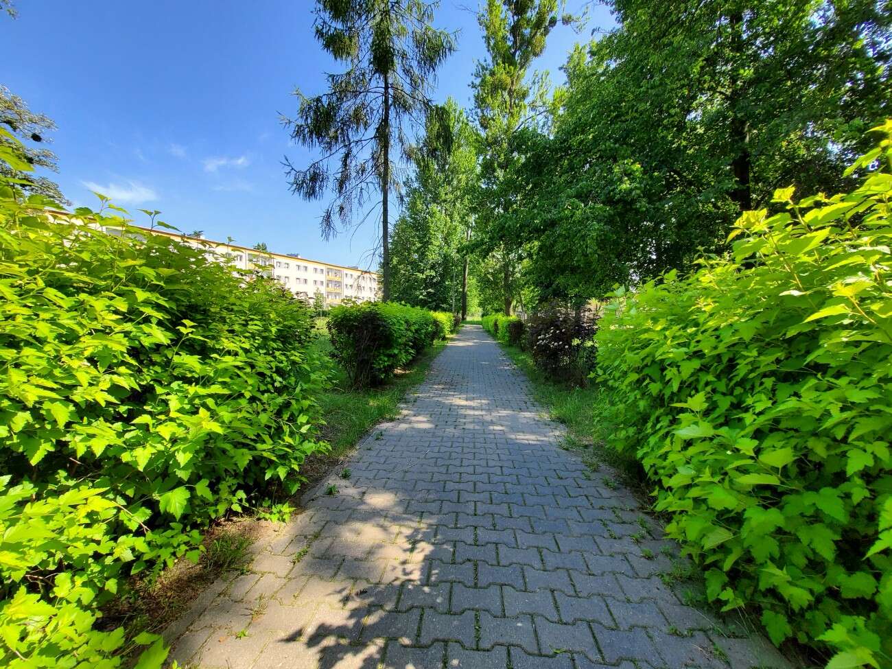 Test Samsunga Galaxy Z Flip. Nowa definicja kompaktowego smartfonu