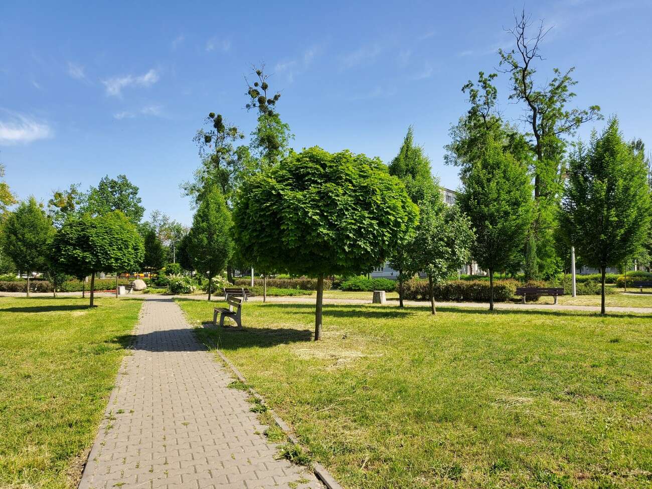 Test Samsunga Galaxy Z Flip. Nowa definicja kompaktowego smartfonu