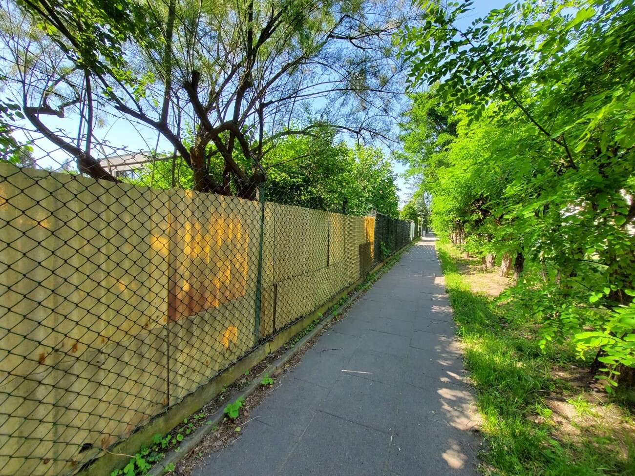 Test Samsunga Galaxy Z Flip. Nowa definicja kompaktowego smartfonu