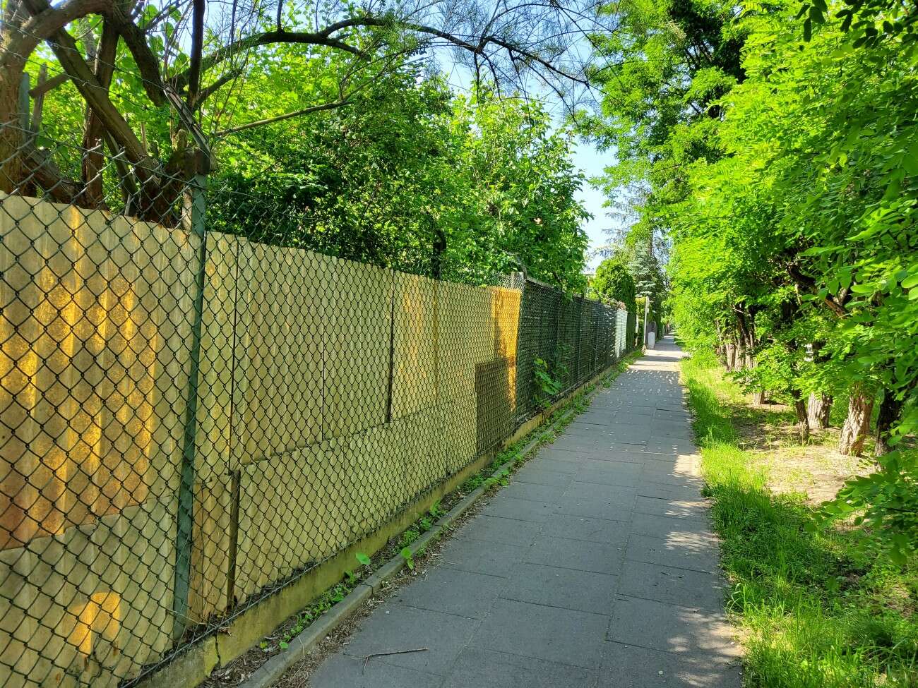 Test Samsunga Galaxy Z Flip. Nowa definicja kompaktowego smartfonu