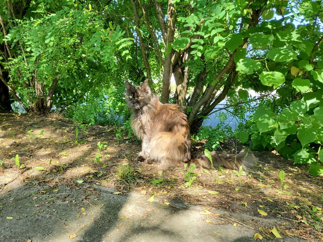 Test Samsunga Galaxy Z Flip. Nowa definicja kompaktowego smartfonu