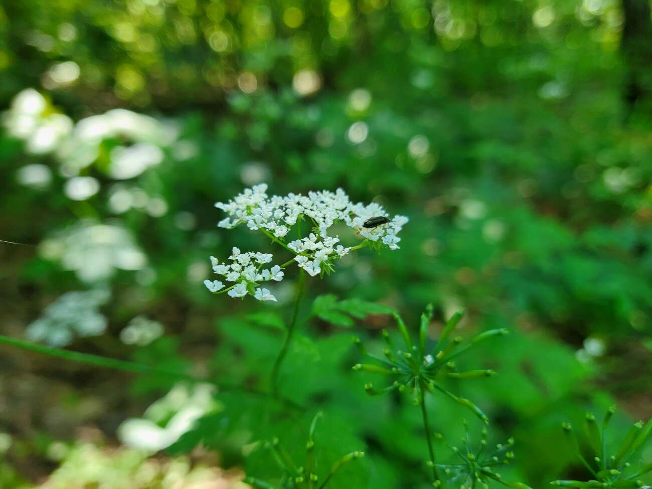 Test Samsunga Galaxy Z Flip. Nowa definicja kompaktowego smartfonu