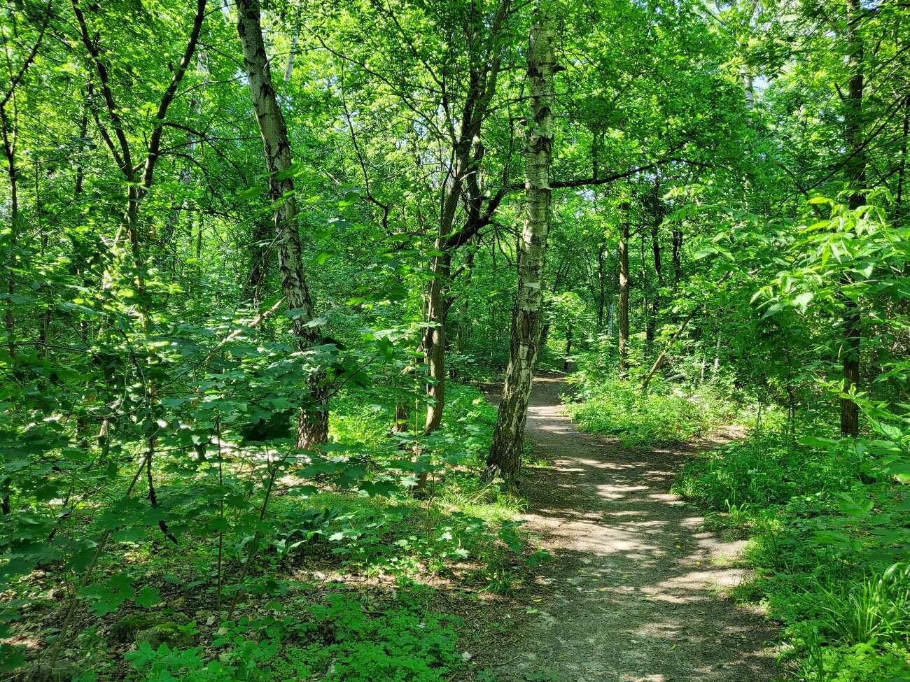 Test Samsunga Galaxy Z Flip. Nowa definicja kompaktowego smartfonu