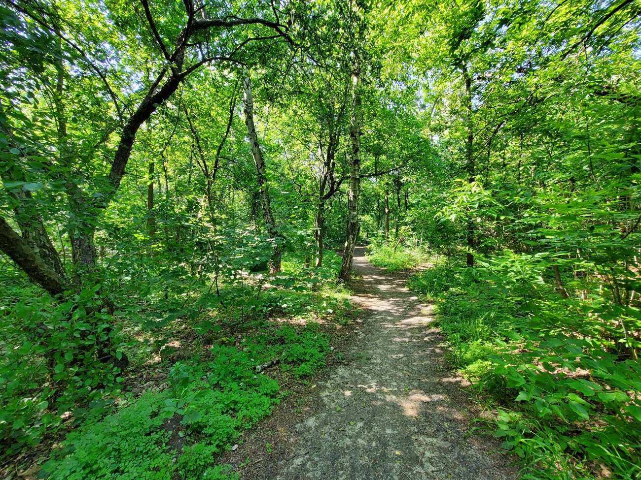 Test Samsunga Galaxy Z Flip. Nowa definicja kompaktowego smartfonu