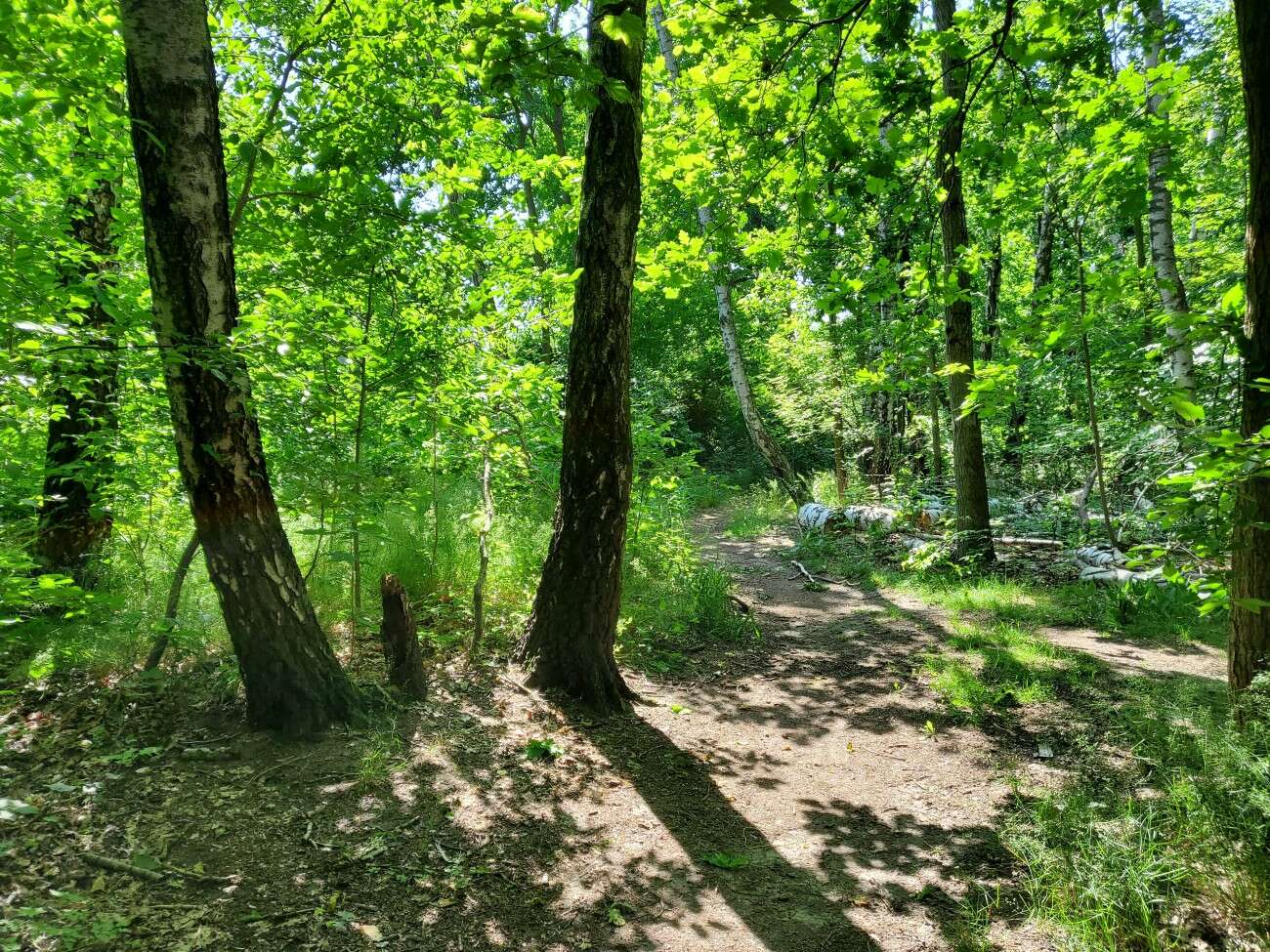 Test Samsunga Galaxy Z Flip. Nowa definicja kompaktowego smartfonu