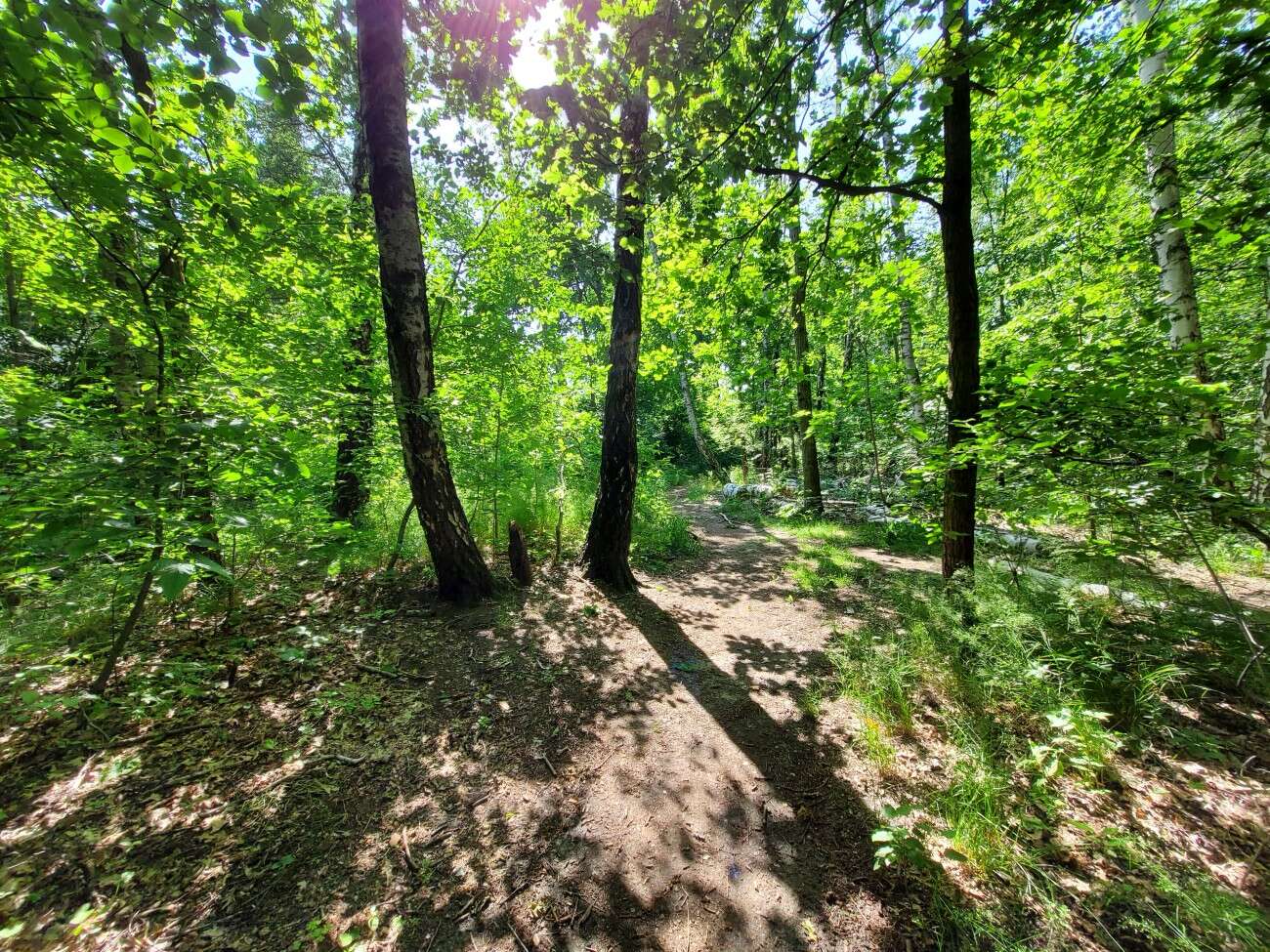 Test Samsunga Galaxy Z Flip. Nowa definicja kompaktowego smartfonu