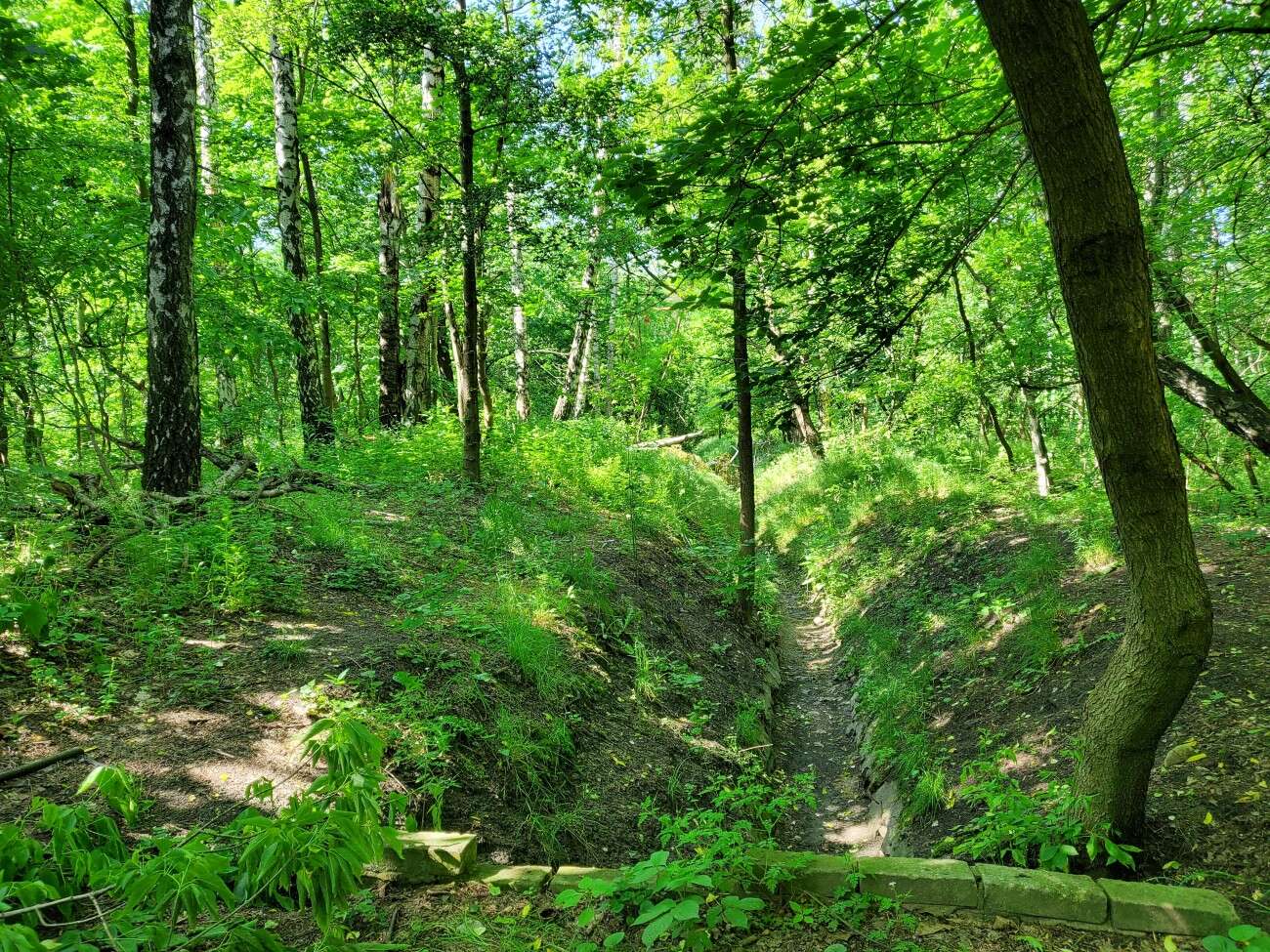 Test Samsunga Galaxy Z Flip. Nowa definicja kompaktowego smartfonu