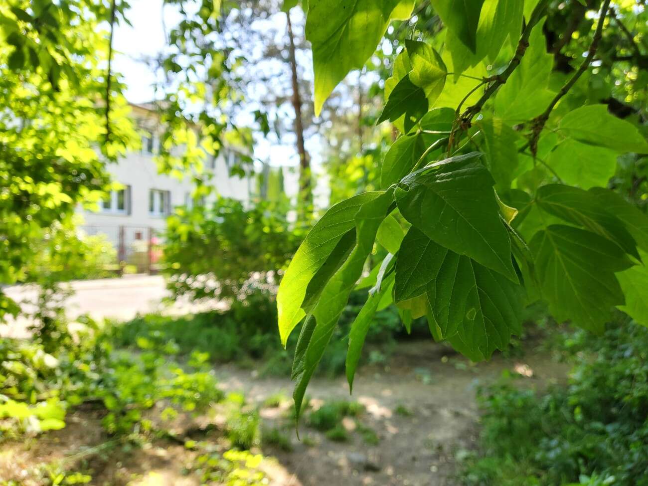 Test Samsunga Galaxy Z Flip. Nowa definicja kompaktowego smartfonu