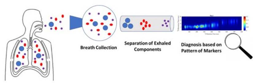 Wykrywacz bomb może posłużyć do wyszukiwania poważnie chorych na COVID-19