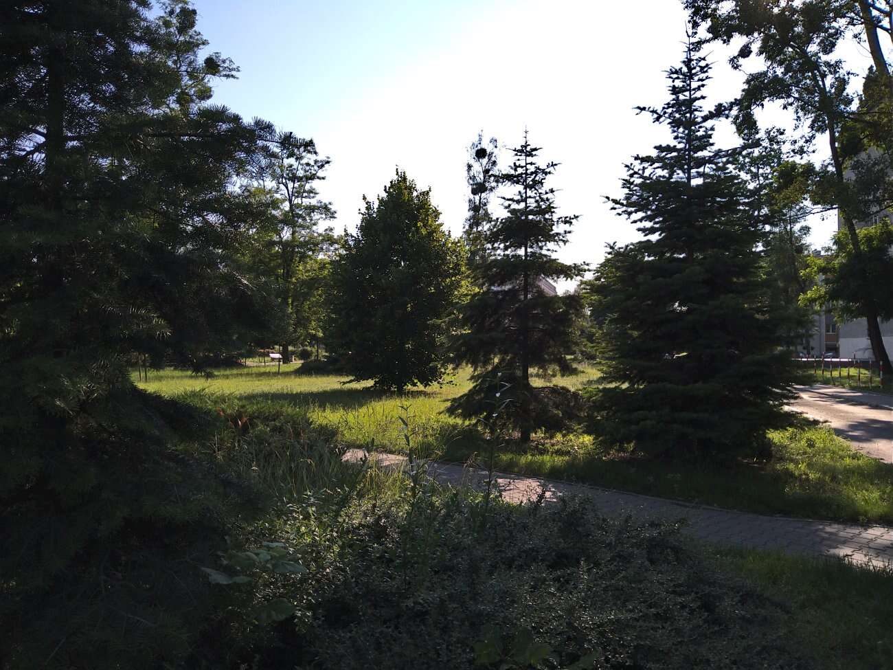 Test Sony Xperia 10 II - definicja kompaktowego smartfonu