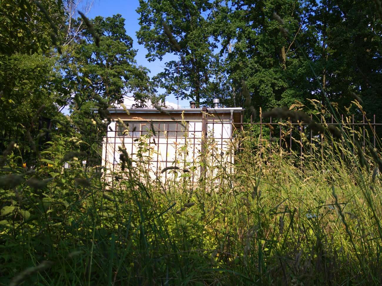 Test Sony Xperia 10 II - definicja kompaktowego smartfonu