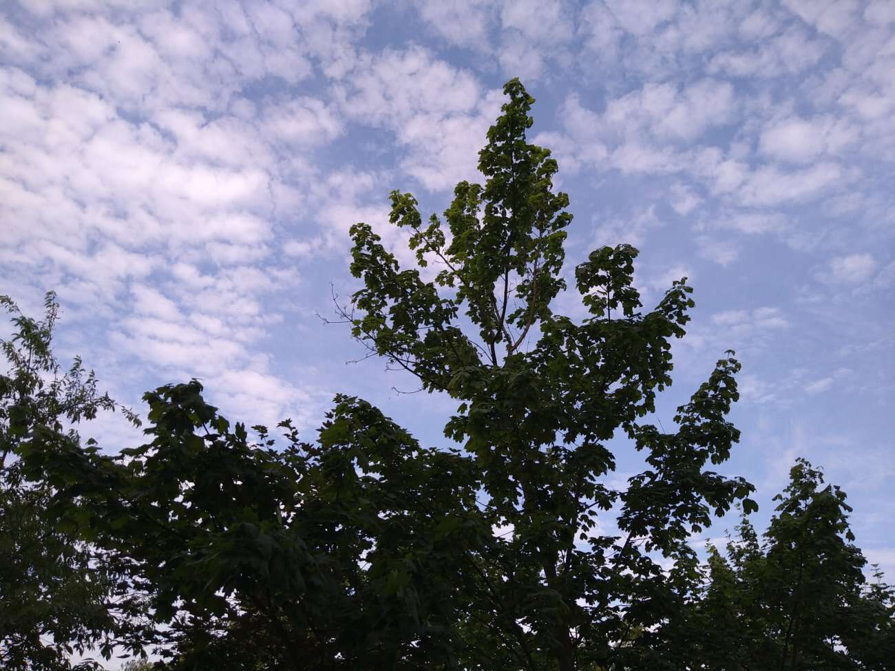 Test Sony Xperia 10 II - definicja kompaktowego smartfonu