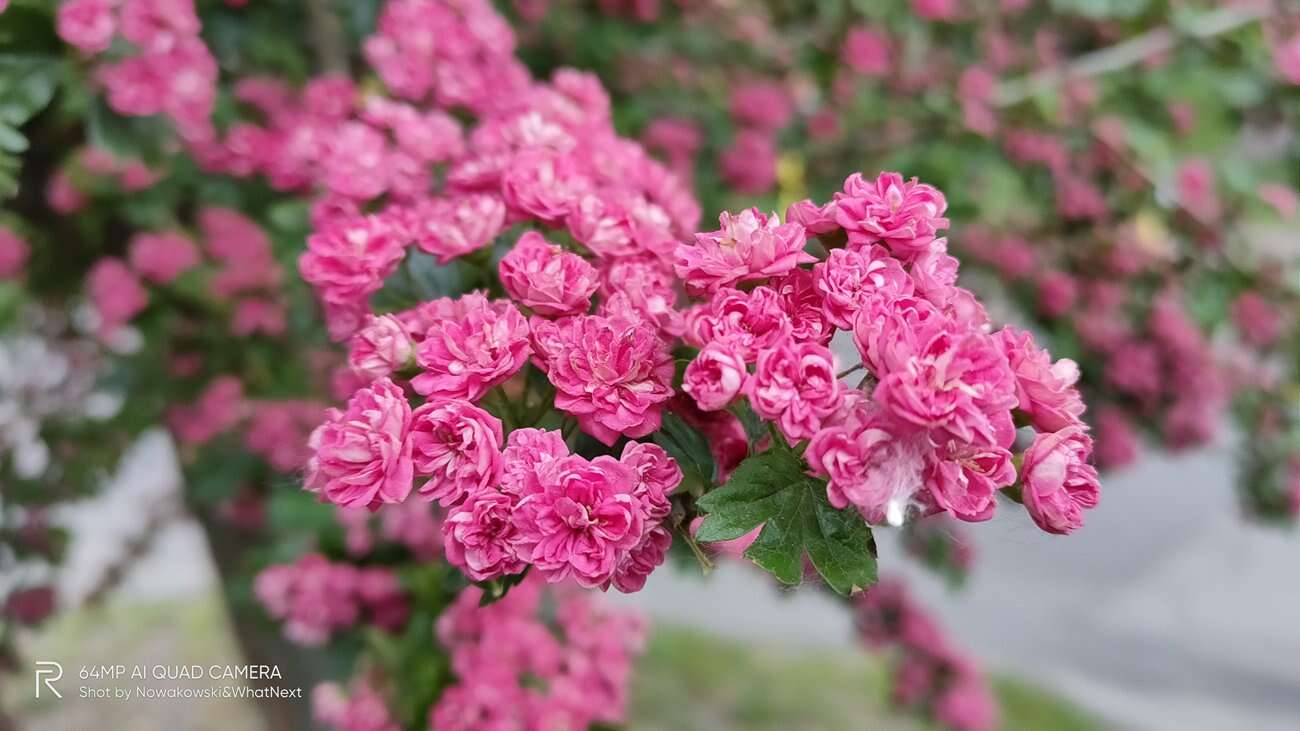 Test Realme X3 SuperZoom – najjaśniejsza gwiazda w ofercie Realme