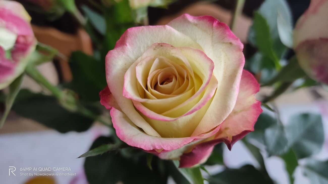 Test Realme X3 SuperZoom – najjaśniejsza gwiazda w ofercie Realme