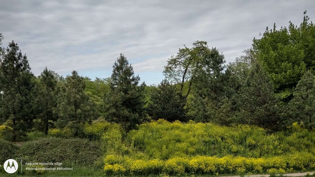 Test Motorola Edge – czy krawędzie robią różnicę?