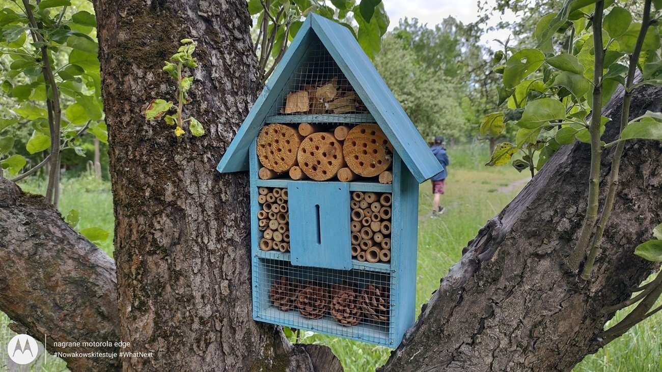 Test Motorola Edge – czy krawędzie robią różnicę?