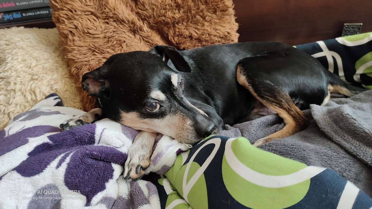 Test Realme X3 SuperZoom – najjaśniejsza gwiazda w ofercie Realme