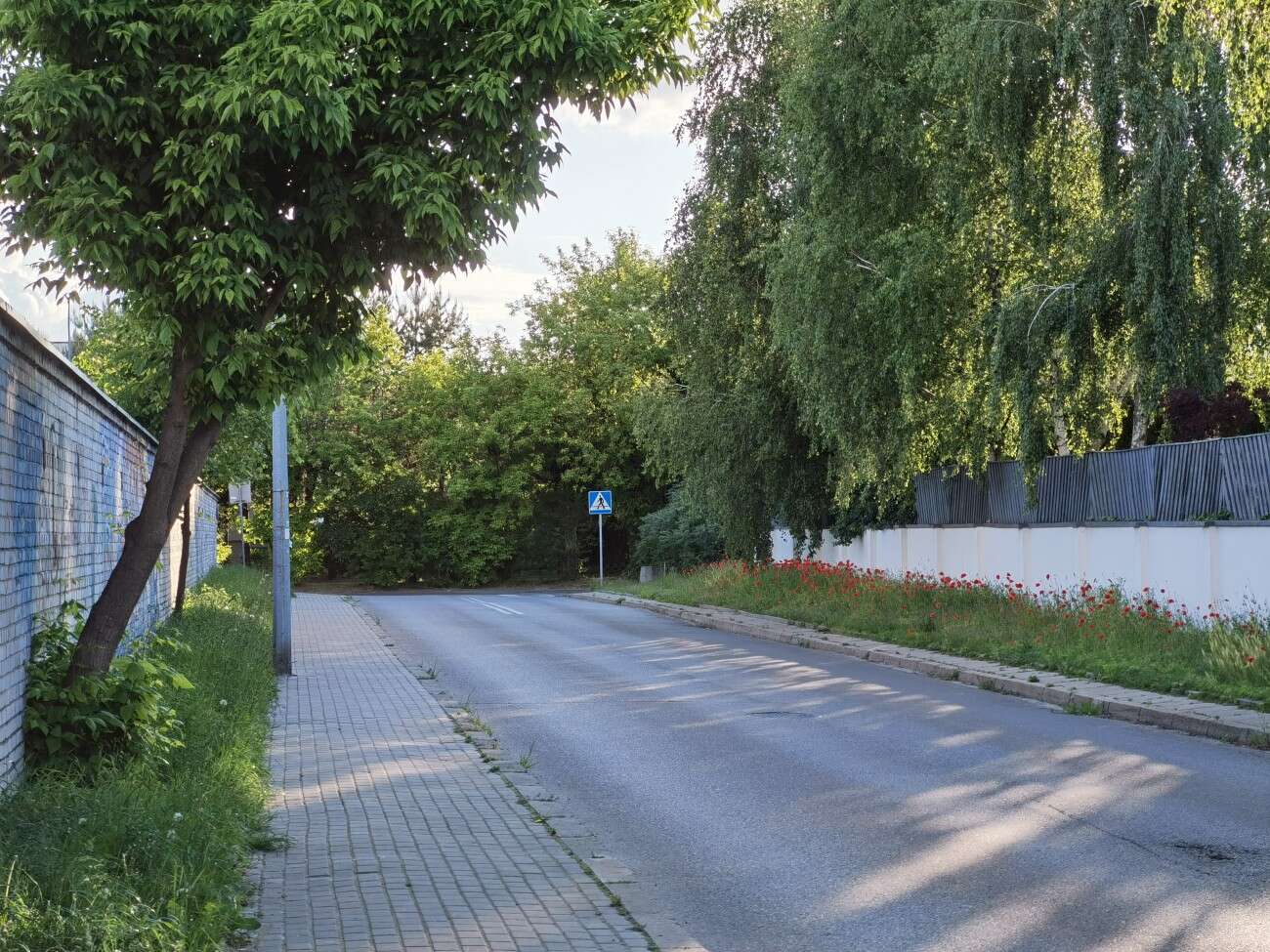 Recenzja Huawei P40 Pro+, czyli jak poprawić najlepszy aparat na rynku