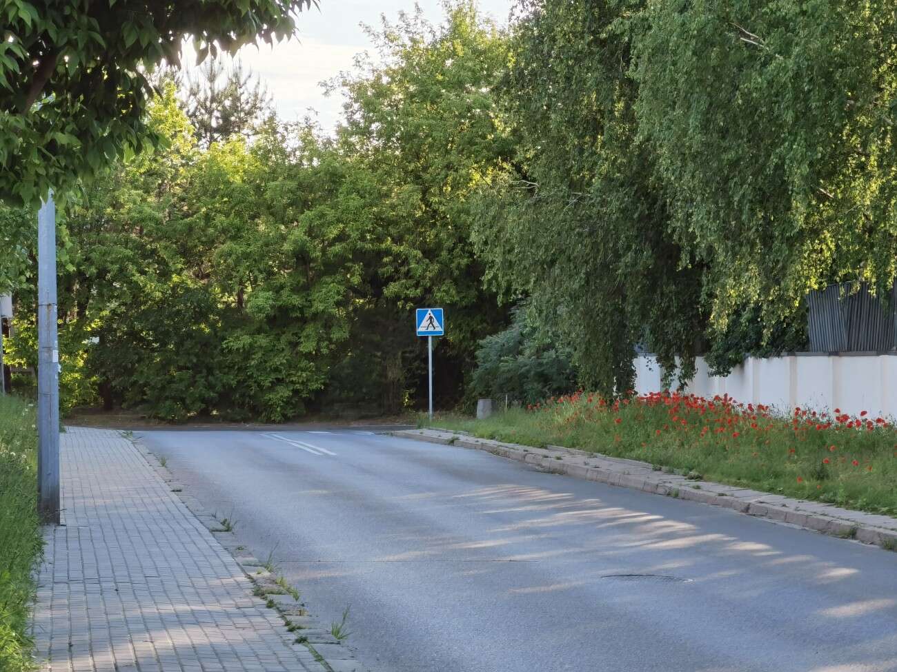 Recenzja Huawei P40 Pro+, czyli jak poprawić najlepszy aparat na rynku