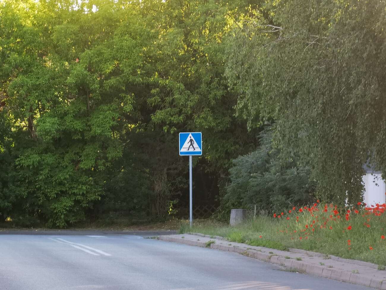 Recenzja Huawei P40 Pro+, czyli jak poprawić najlepszy aparat na rynku