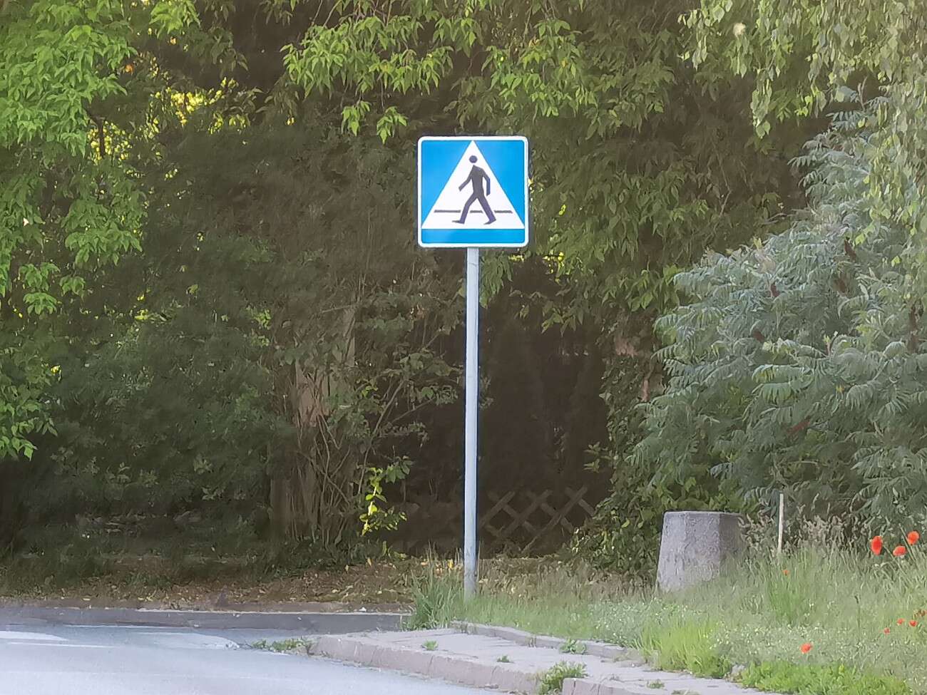 Recenzja Huawei P40 Pro+, czyli jak poprawić najlepszy aparat na rynku