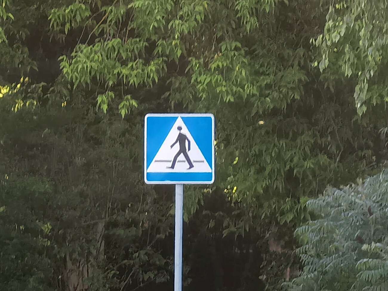 Recenzja Huawei P40 Pro+, czyli jak poprawić najlepszy aparat na rynku