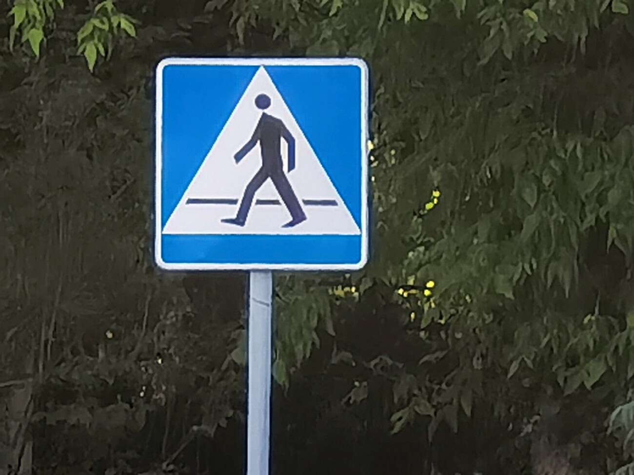 Recenzja Huawei P40 Pro+, czyli jak poprawić najlepszy aparat na rynku