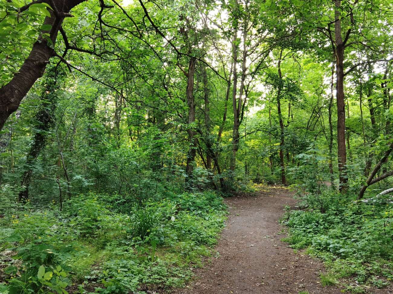 Recenzja Huawei P40 Pro+, czyli jak poprawić najlepszy aparat na rynku