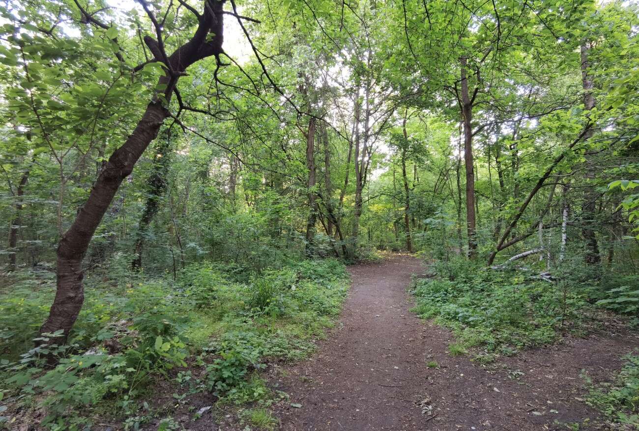 Recenzja Huawei P40 Pro+, czyli jak poprawić najlepszy aparat na rynku