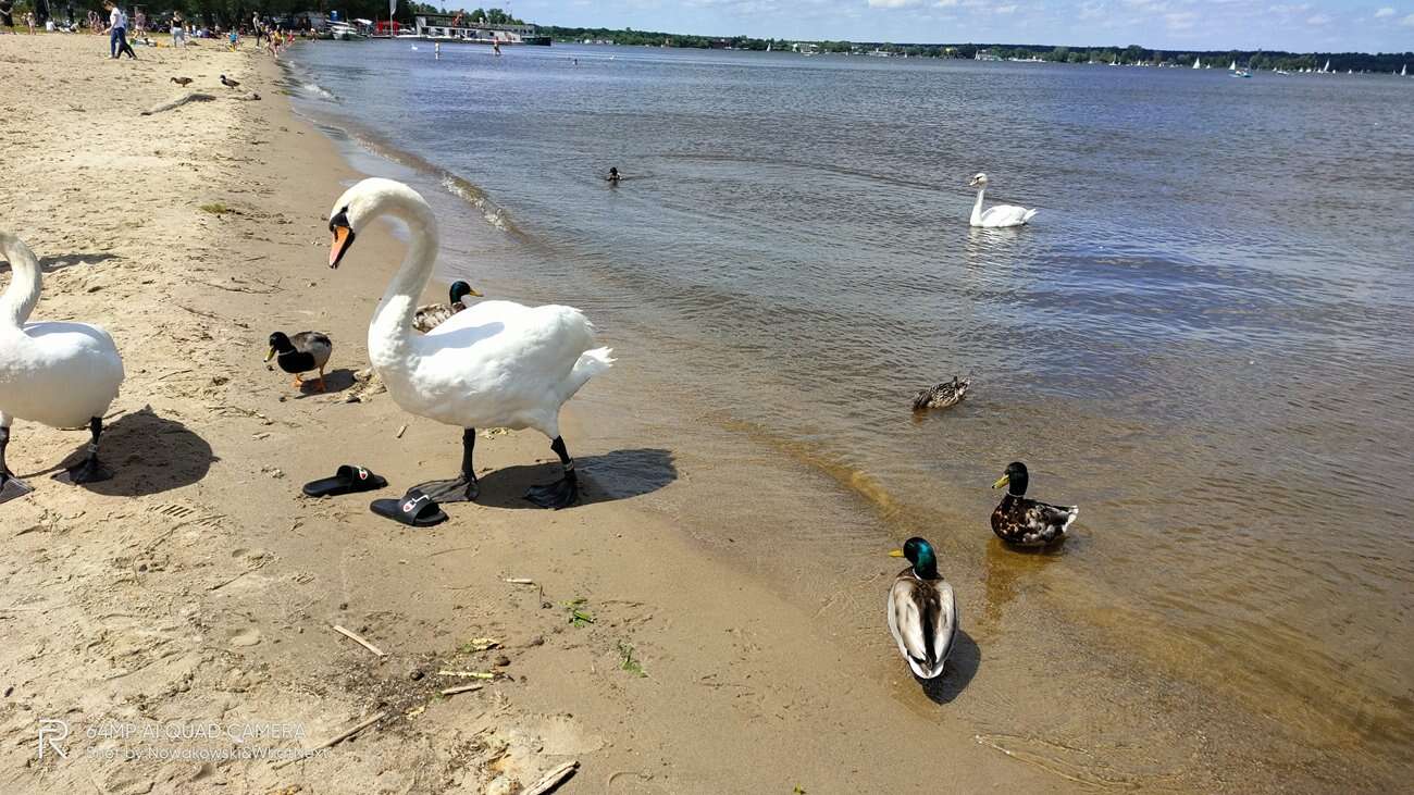 Test Realme X3 SuperZoom – najjaśniejsza gwiazda w ofercie Realme