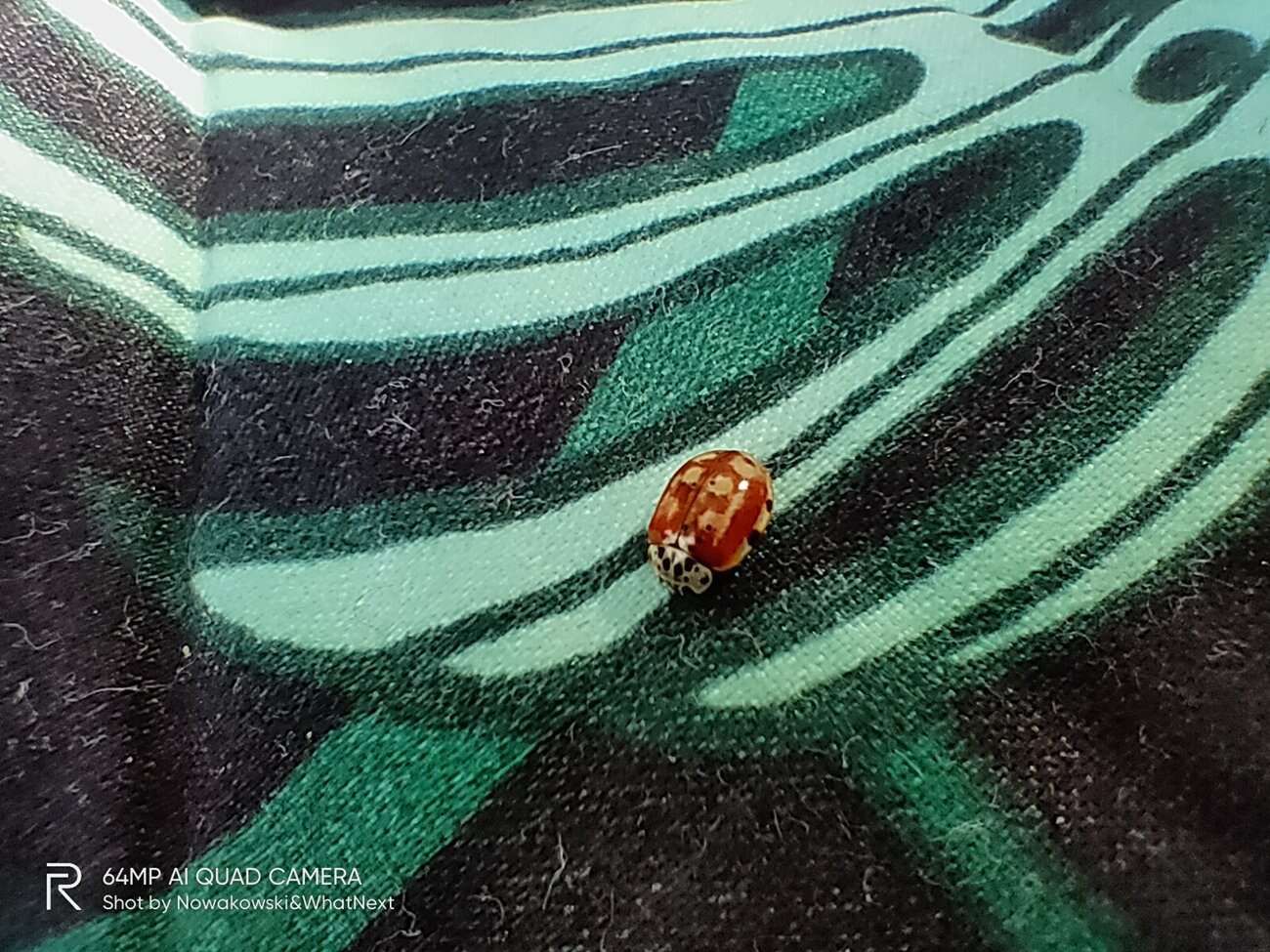 Test Realme X3 SuperZoom – najjaśniejsza gwiazda w ofercie Realme