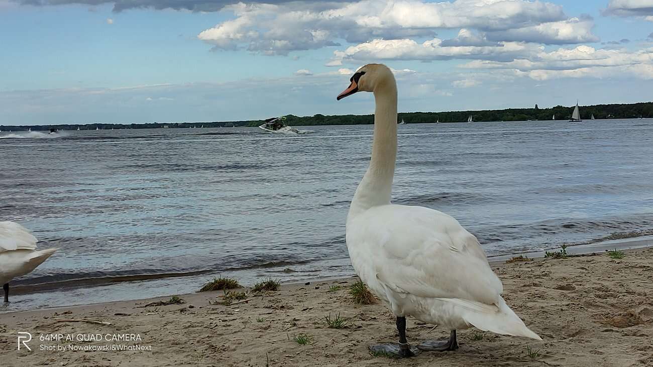 Test Realme X3 SuperZoom – najjaśniejsza gwiazda w ofercie Realme