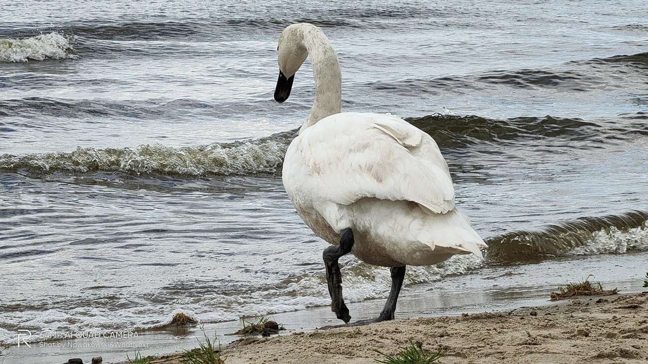 Test Realme X3 SuperZoom – najjaśniejsza gwiazda w ofercie Realme