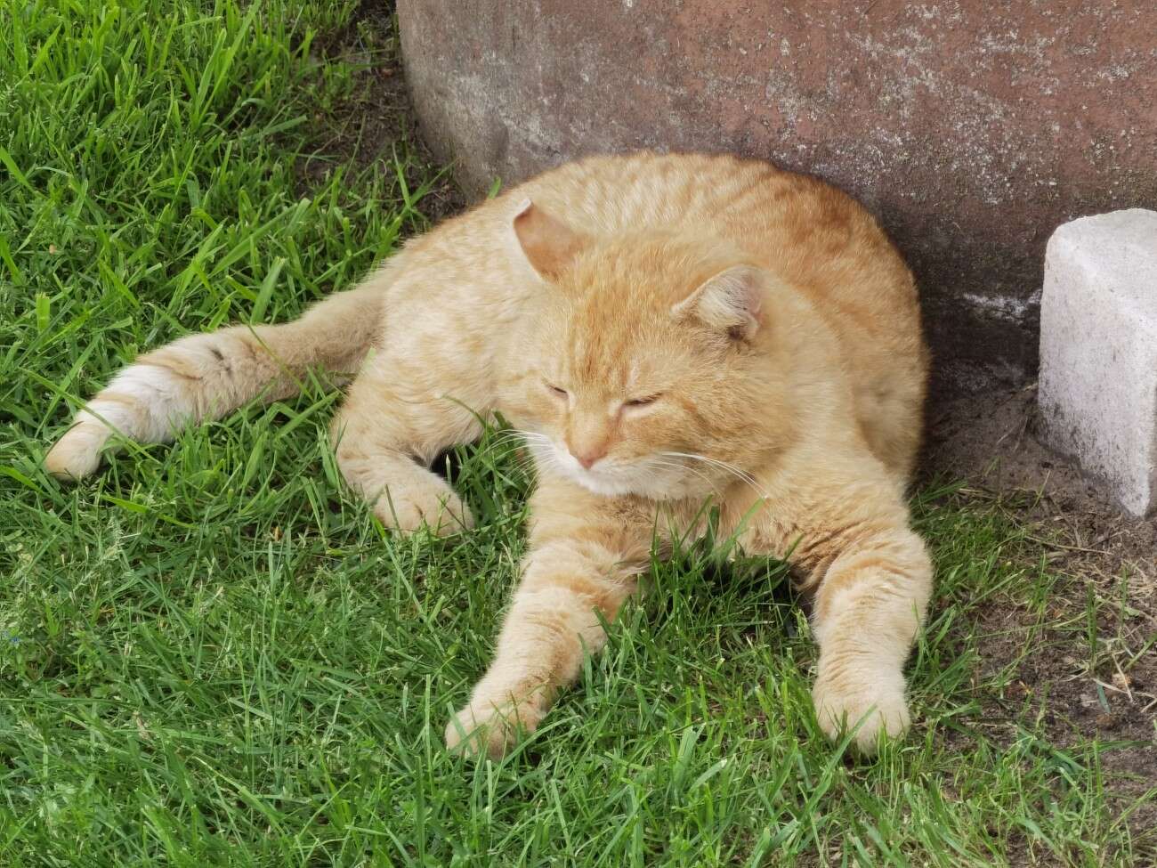 Recenzja Huawei P40 Pro+, czyli jak poprawić najlepszy aparat na rynku