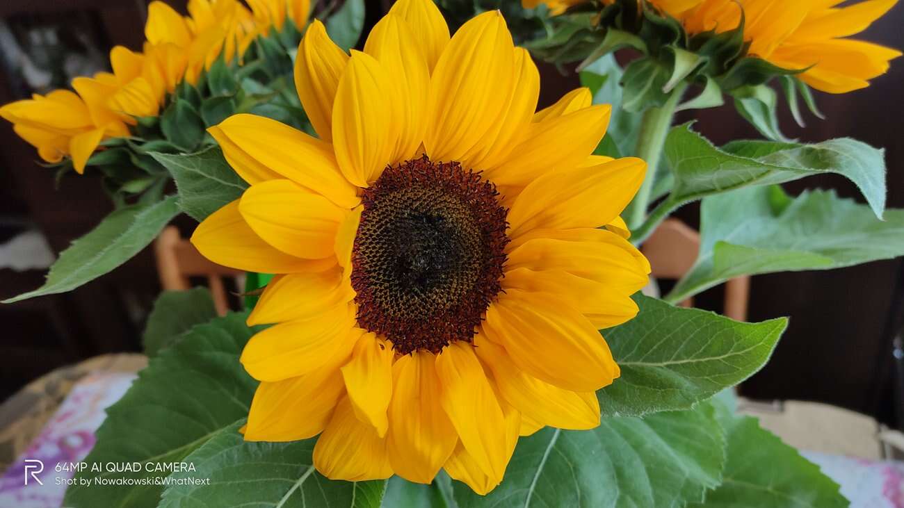 Test Realme X3 SuperZoom – najjaśniejsza gwiazda w ofercie Realme