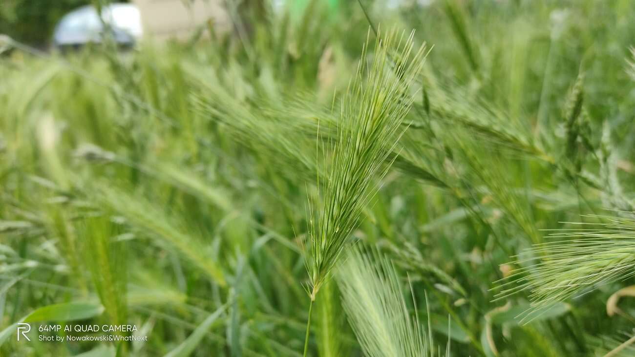 Test Realme X3 SuperZoom – najjaśniejsza gwiazda w ofercie Realme