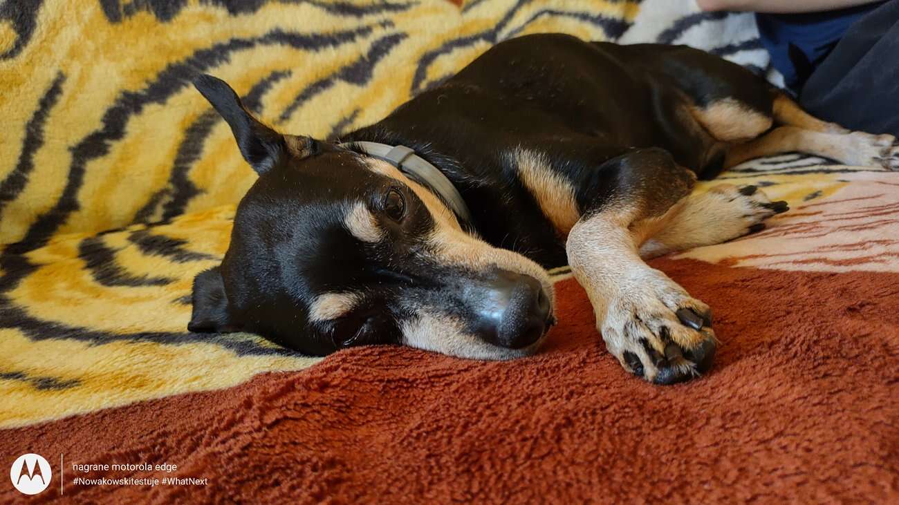 Test Motorola Edge – czy krawędzie robią różnicę?