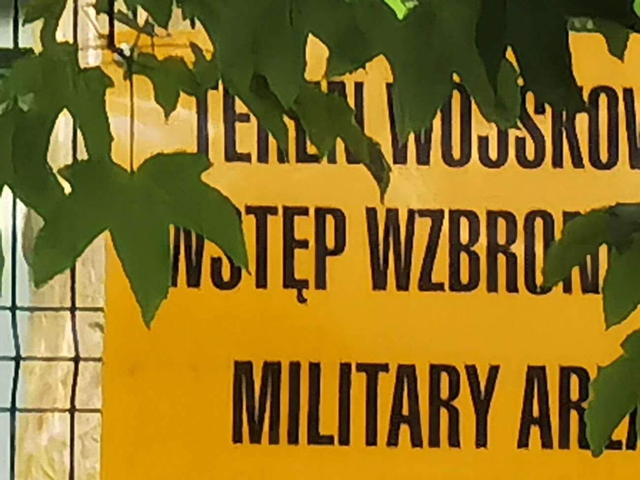 Recenzja Huawei P40 Pro+, czyli jak poprawić najlepszy aparat na rynku