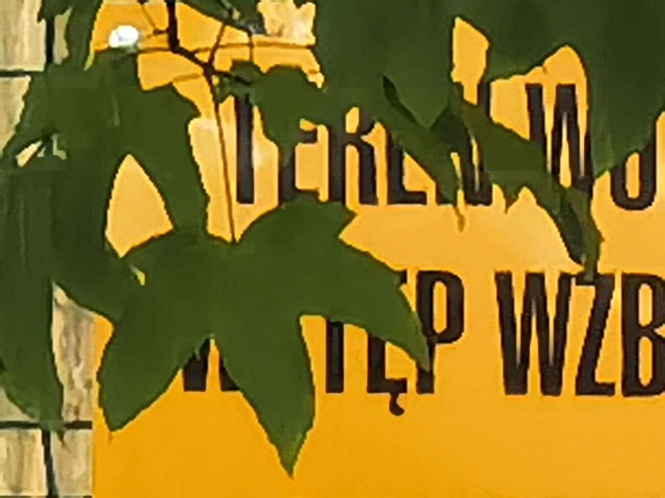 Recenzja Huawei P40 Pro+, czyli jak poprawić najlepszy aparat na rynku